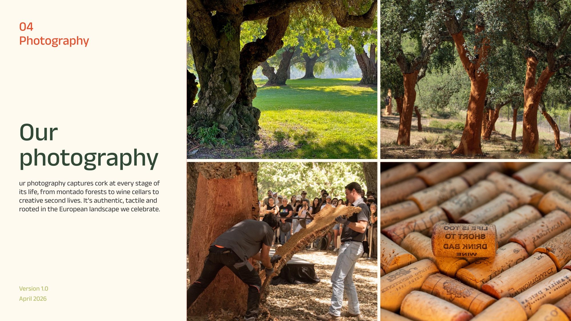 Photography: montado cork forests, a bark harvest and collected wine corks